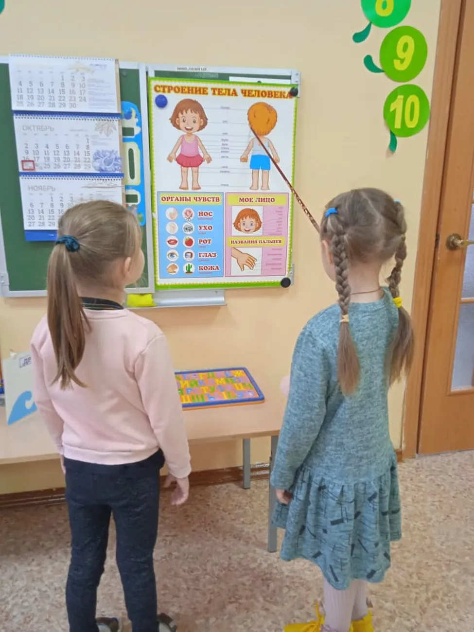 Тело человека
